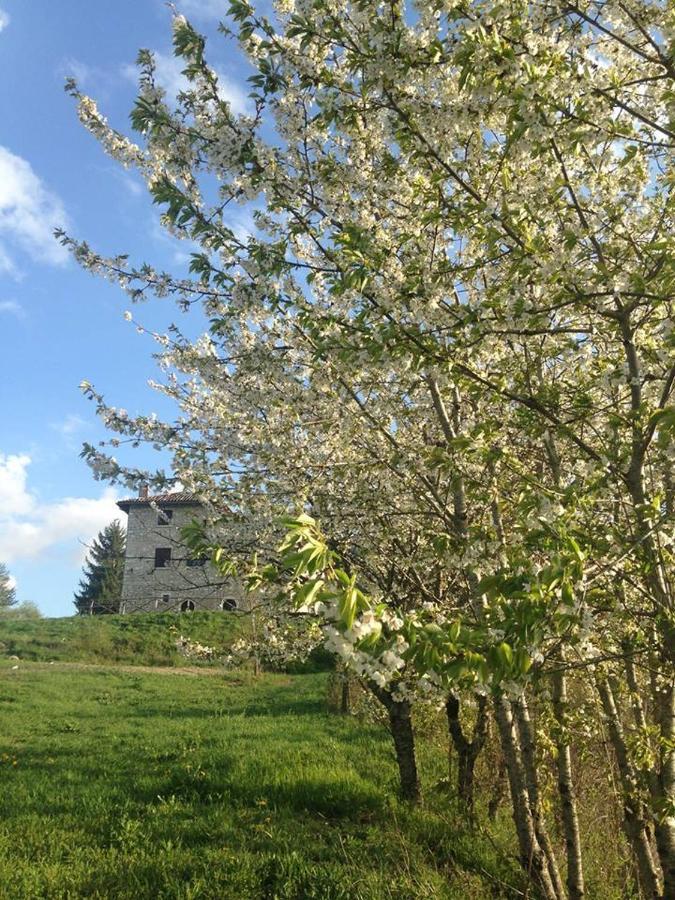 Agriturismo La Commenda-Adults Only カーシャ エクステリア 写真